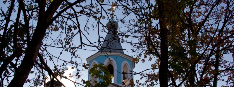 slideshow 7