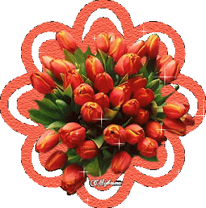 flores006
